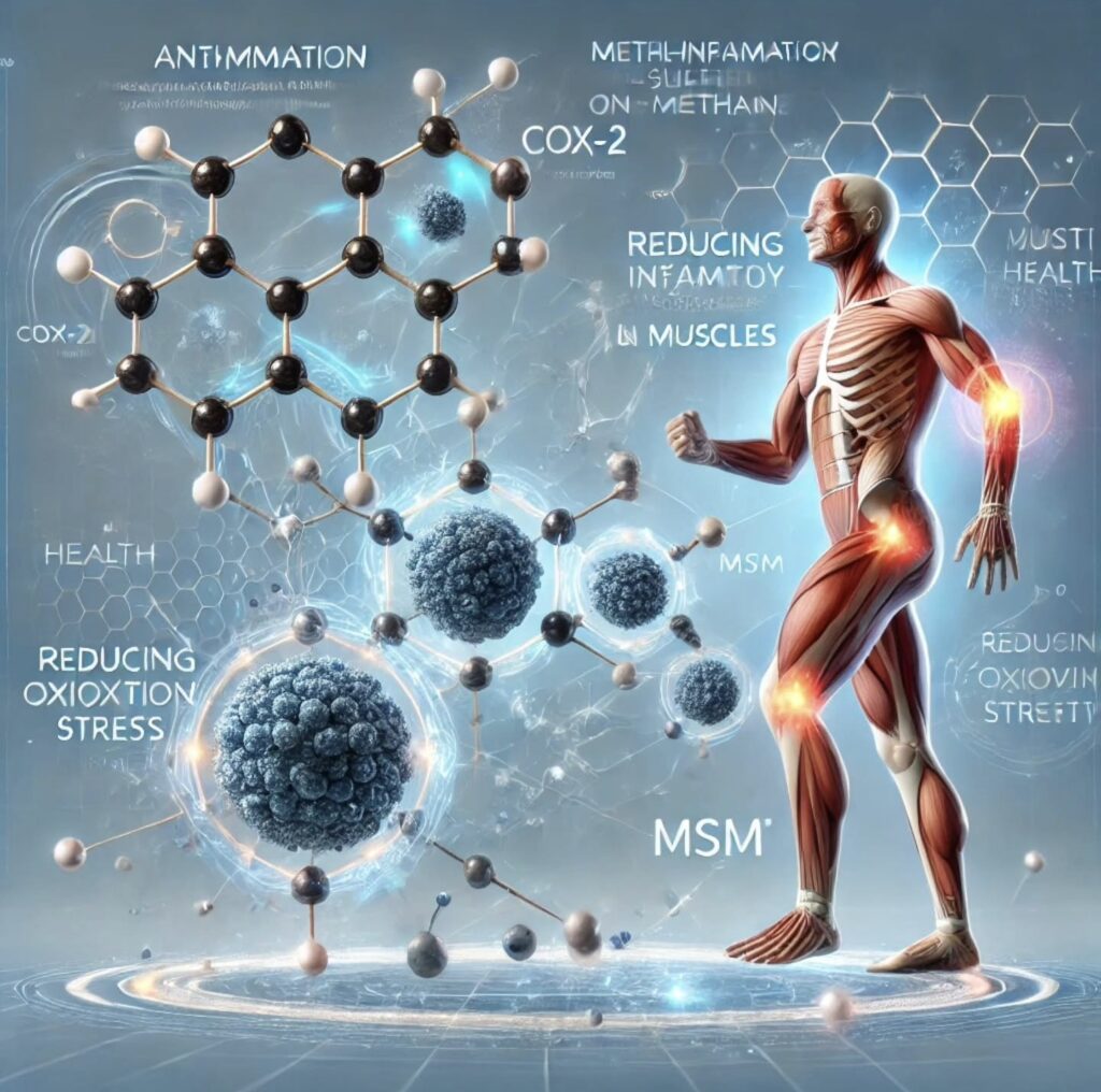 MSM - Methylsulfonylmethan Ãœbersicht